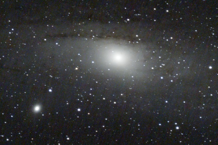 The same crop processed gently, smoother background